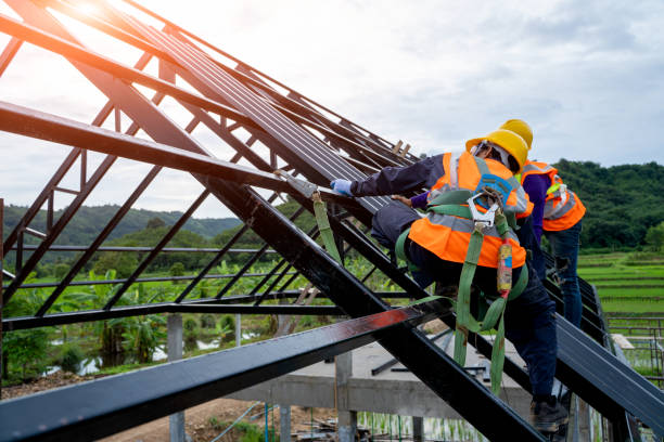 Roof Gutter Cleaning in Lily Lake, IL