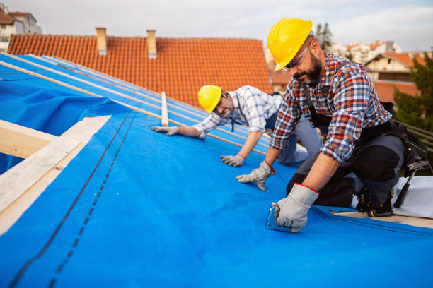 Best Commercial Roof Installation  in Ly Lake, IL