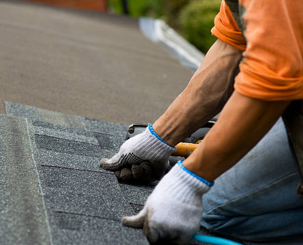 Quick and Trustworthy Emergency Roof Repair Services in Lily Lake, IL