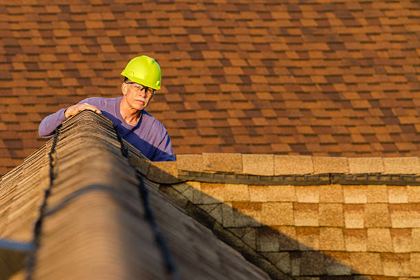 Best Roof Gutter Cleaning  in Ly Lake, IL