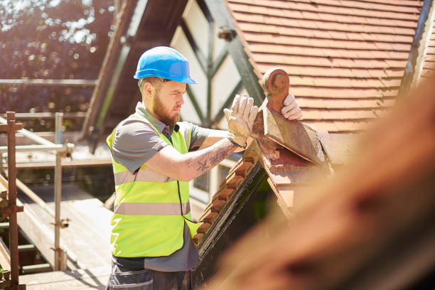 Best Commercial Roofing Services  in Ly Lake, IL