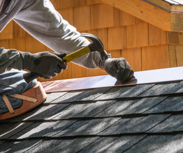 Best Roof Gutter Cleaning  in Ly Lake, IL